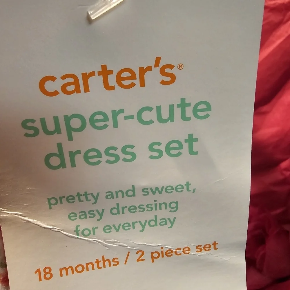 Carter's NWT 18 Month Bunny/Flower Dress with Matching Flower Panties